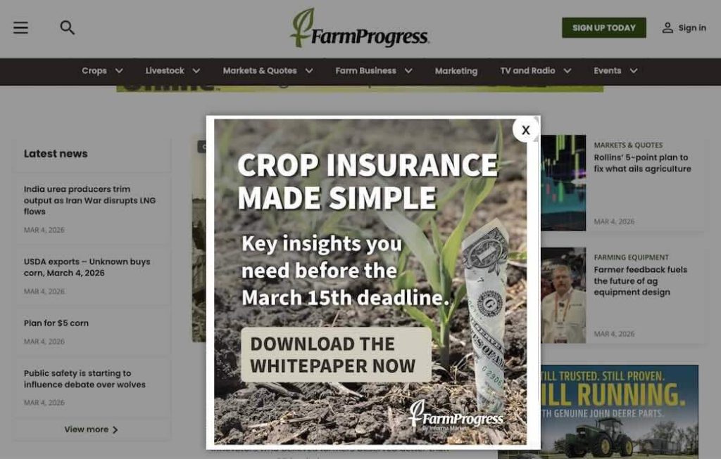 FP: Lead Gen Campaign